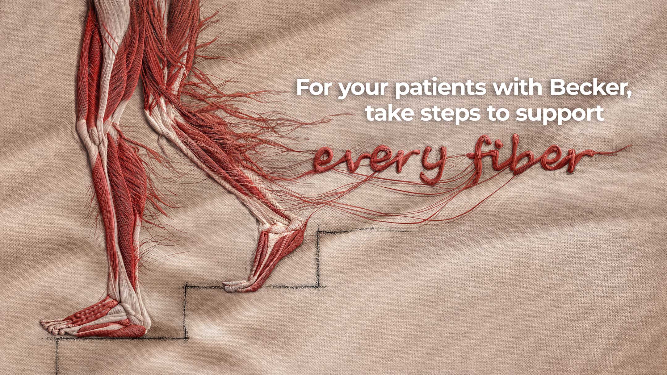 Anatomical illustration of leg muscles walking down steps, with text reading 'For your patients with Becker, take steps to support every fiber.'